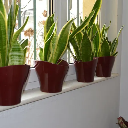 レーヘナーホフ ザルツブルク