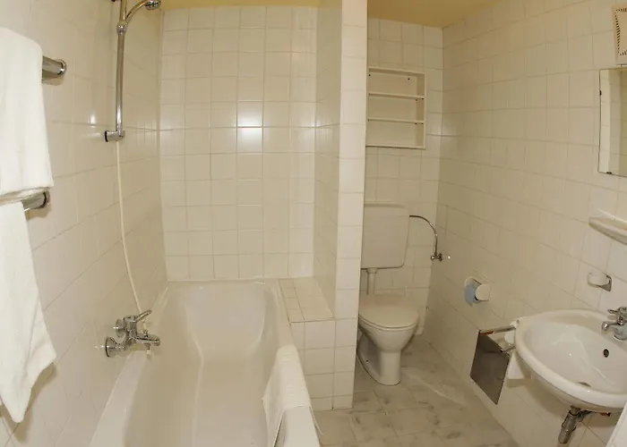 レーヘナーホフ ホテル 3*